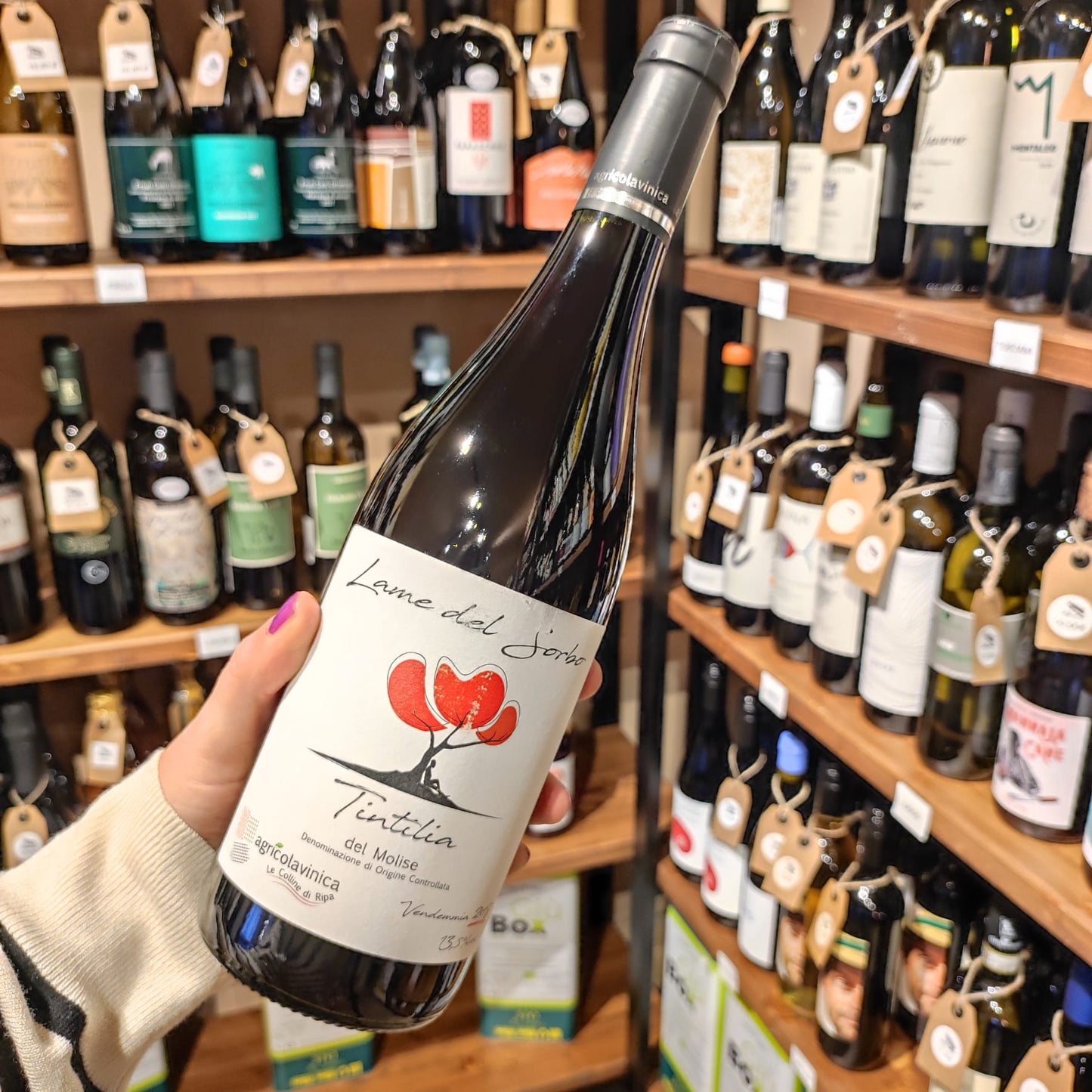 Calice di vino rosso Tintilia Lame del Sorbo con sfondo di colline molisane