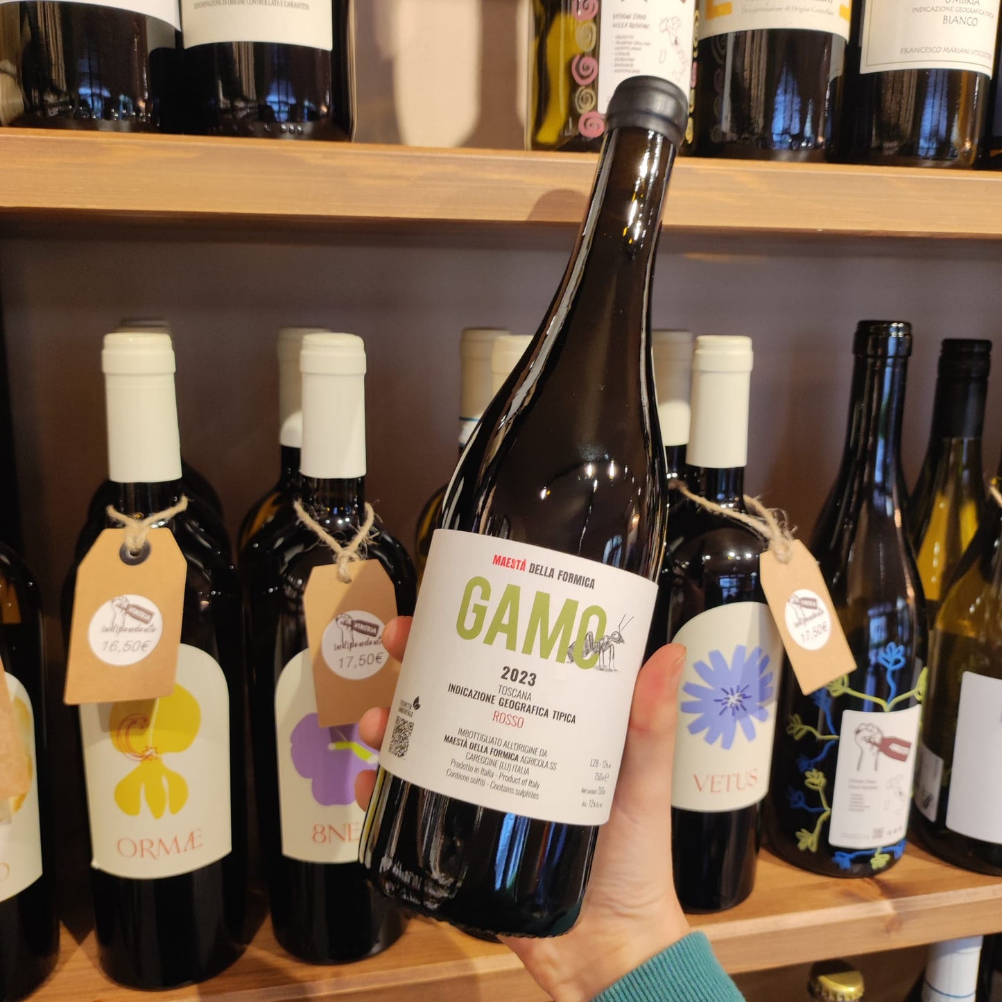 GAMO – Maestà della Formica