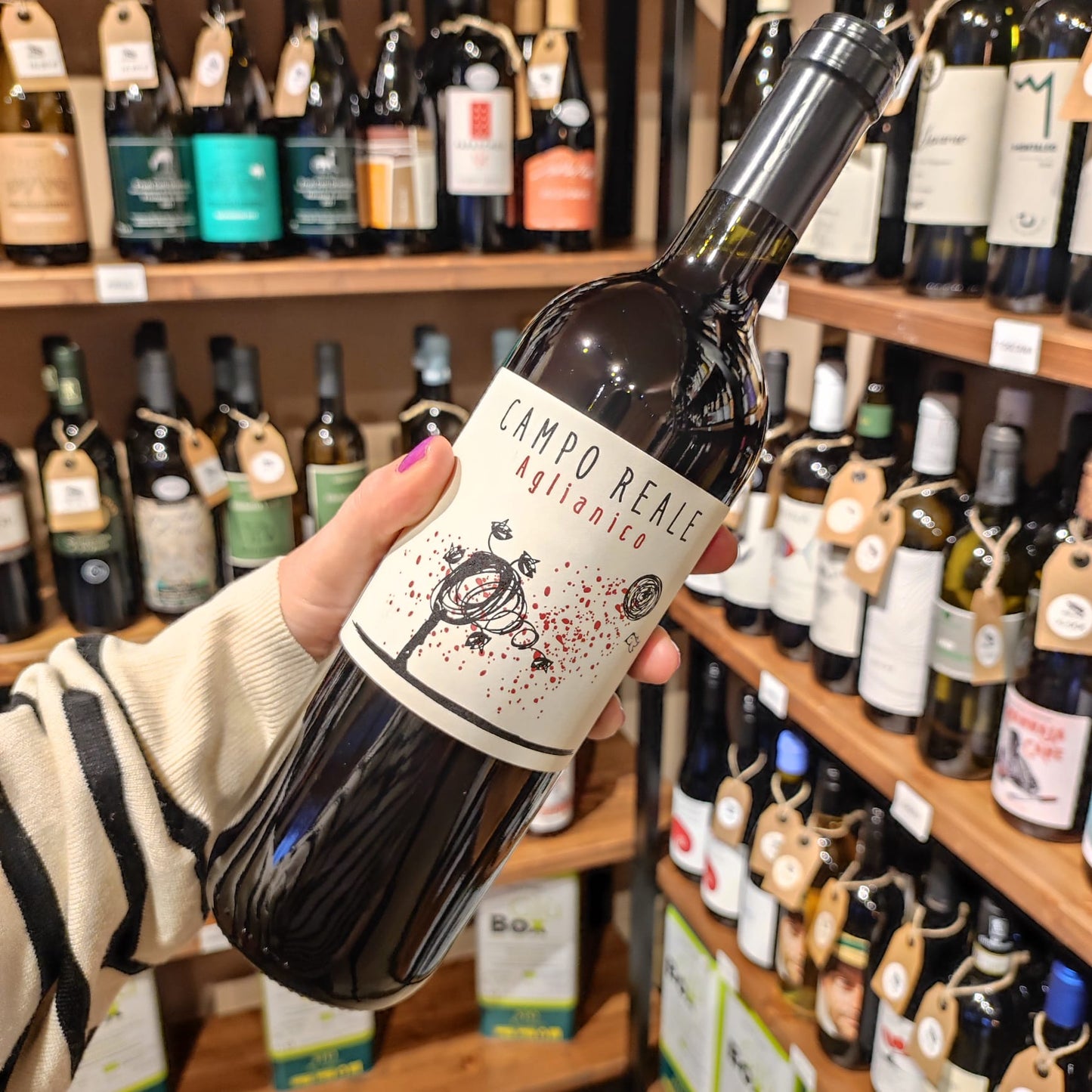 Campo Reale Aglianico - Lunarossa