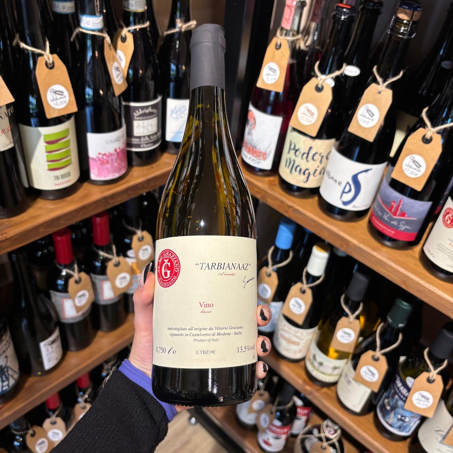 Tarbianaaz – Vittorio Graziano