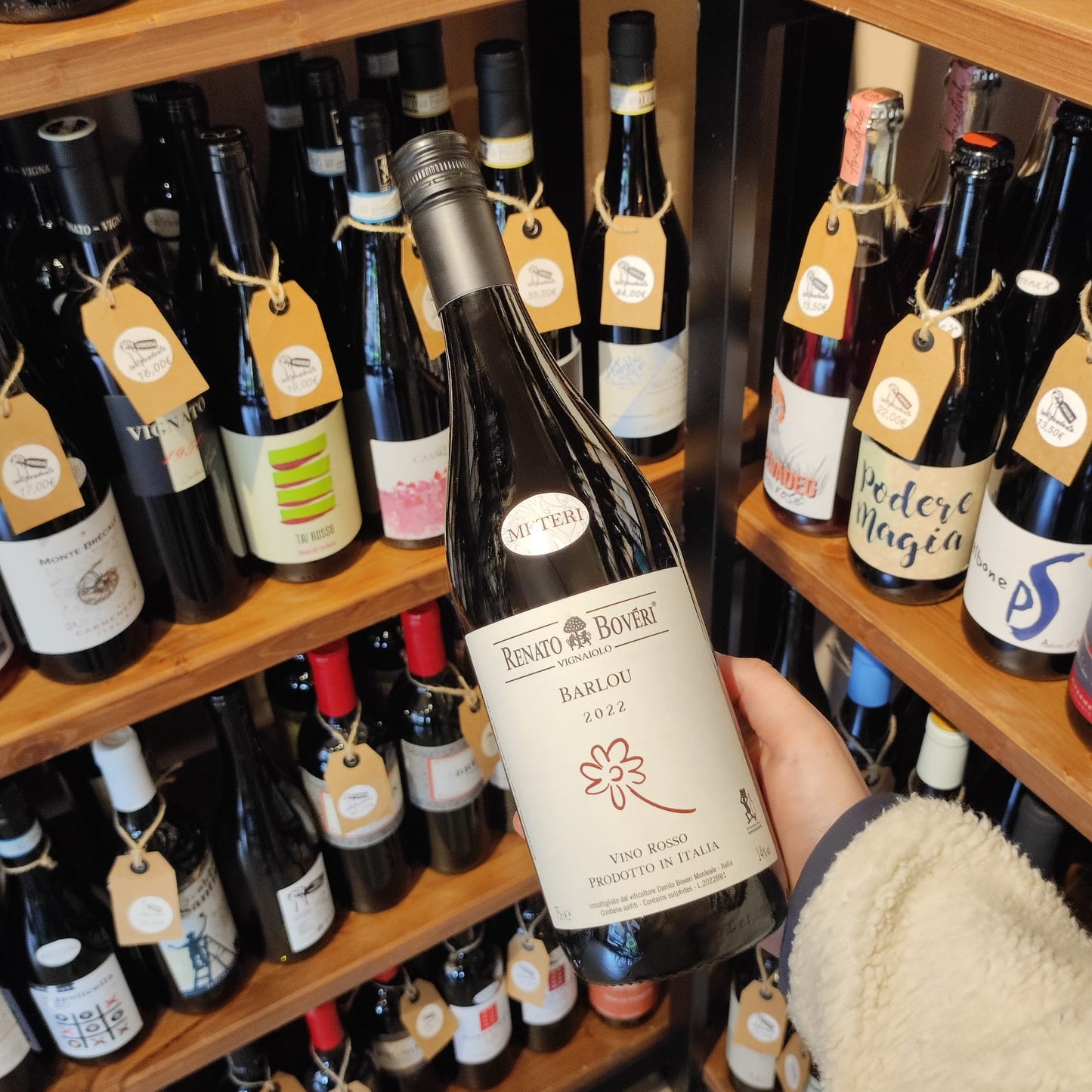 Barlou Barbera - Renato Boveri