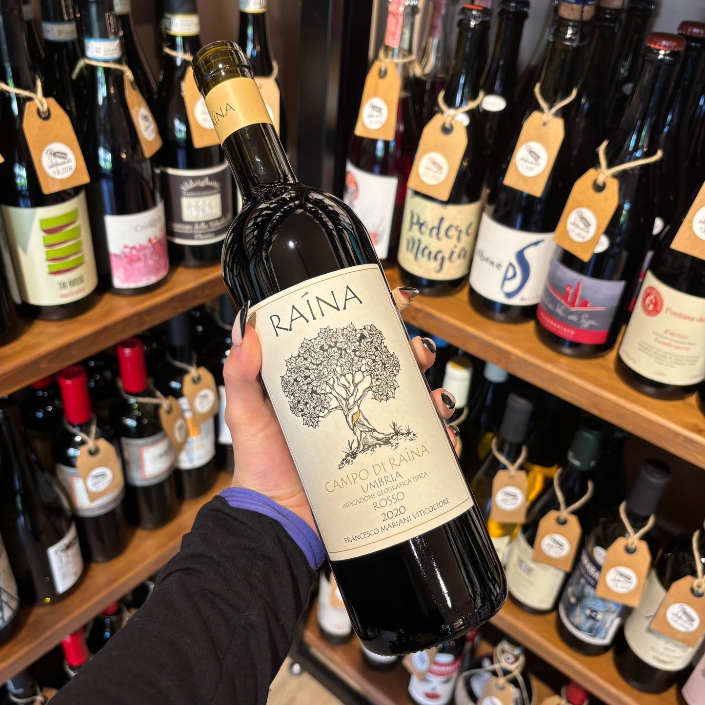 Campo di Raina – Raina