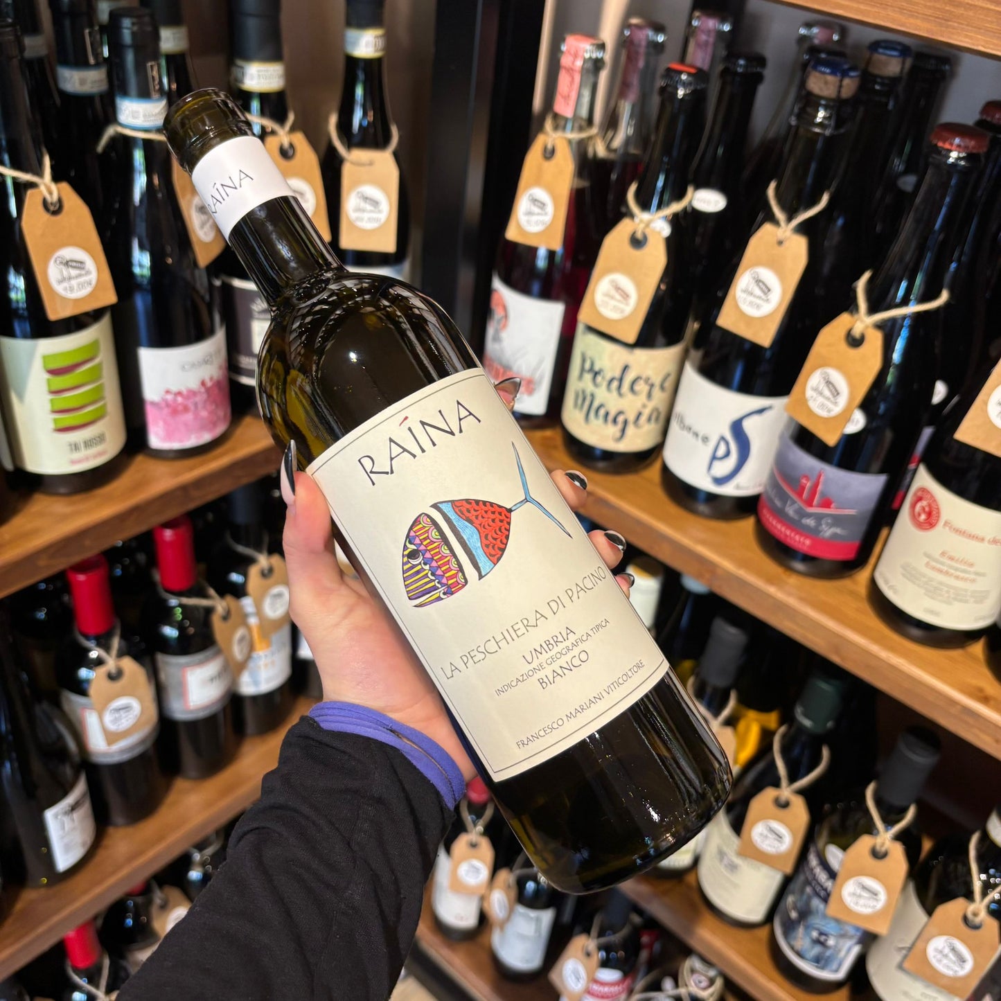 La Peschiera di Pacino – Raina