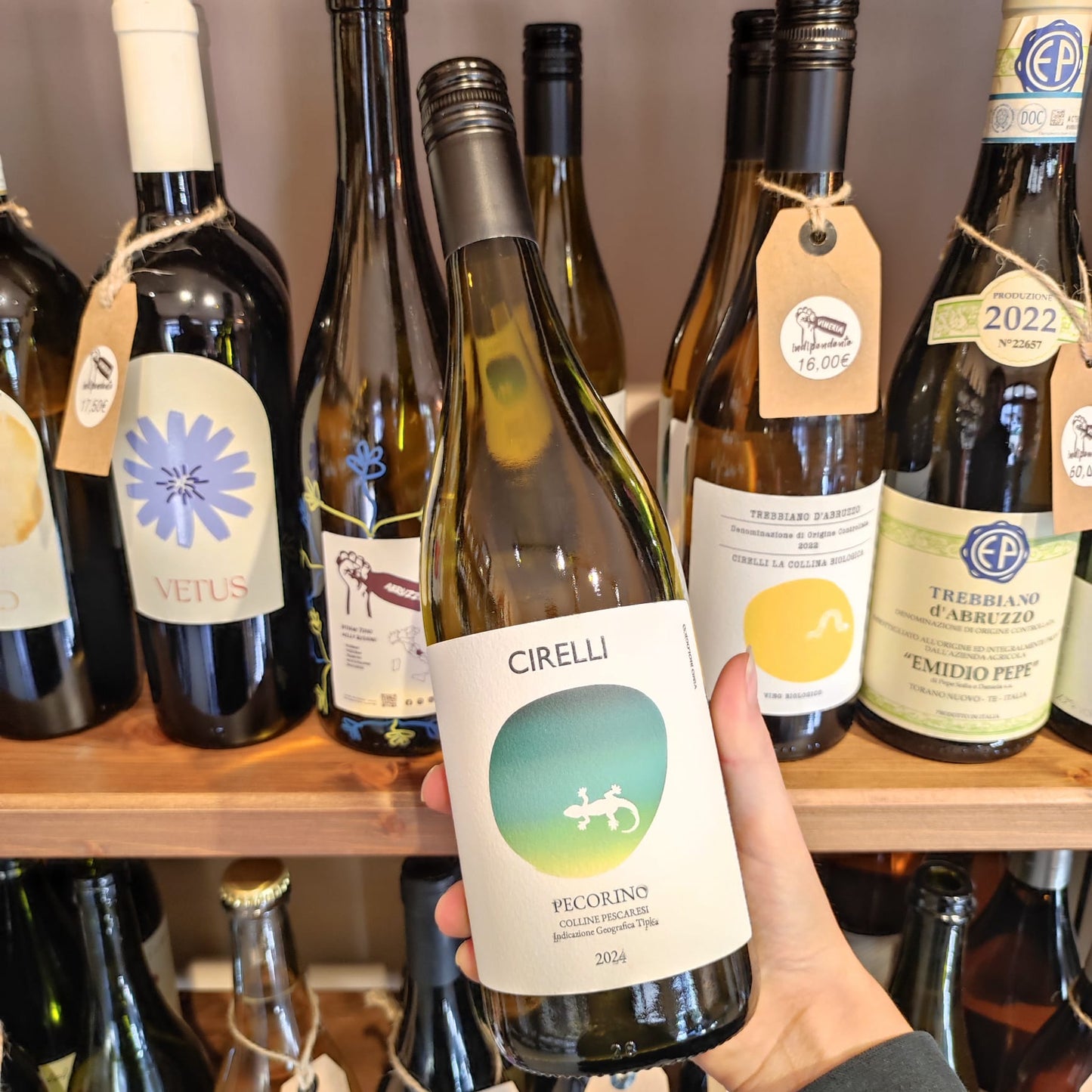 Pecorino - Cirelli