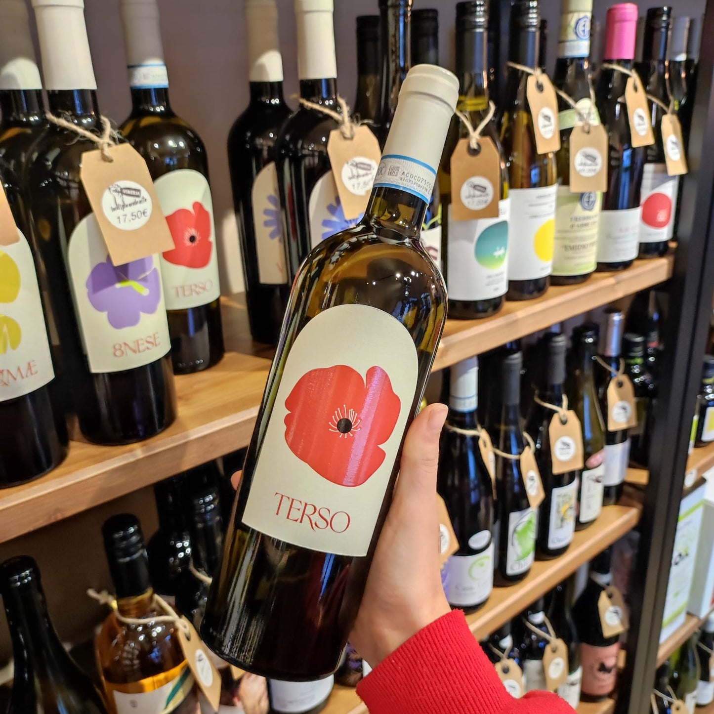 Terso - Frascati DOC Biologico - Merumalia