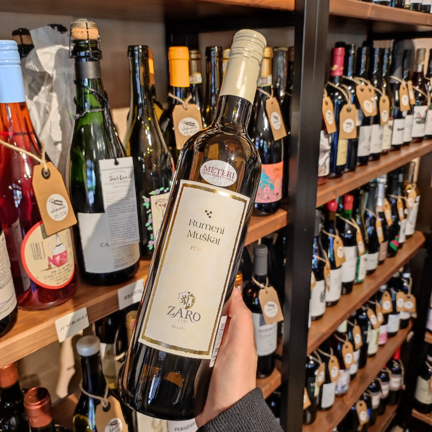 Rumeni Muškat Pivol - Zaro