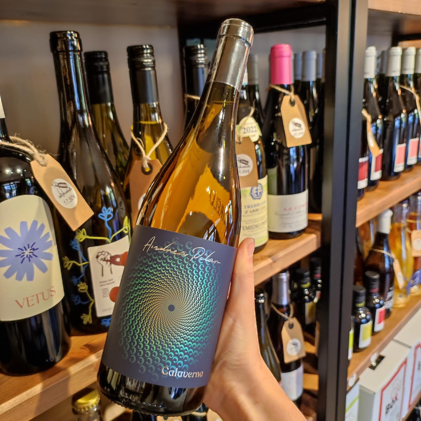 Calaverna - Andrea Pilar