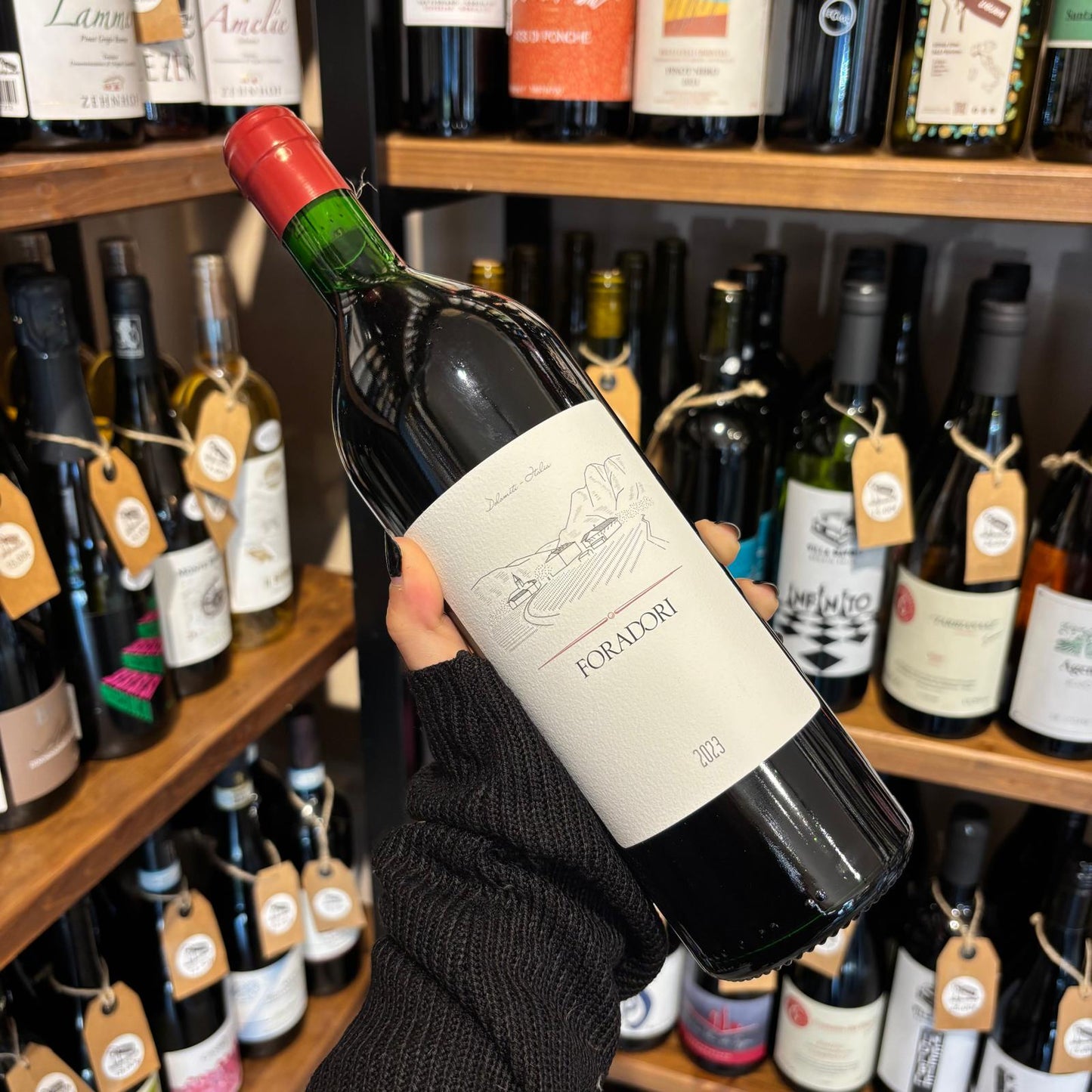 Vigneti delle Dolomiti Teroldego – Foradori