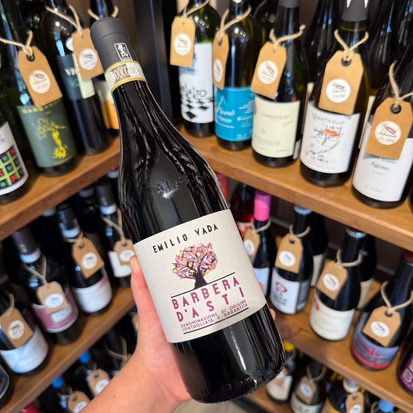 barbera-dasti-emilio-vada-bottiglia