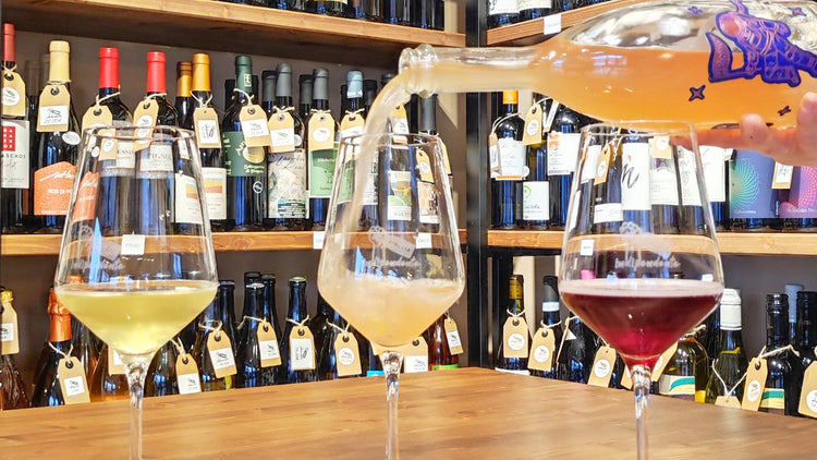 bottiglia di vino frizzante naturale metodo ancestrale