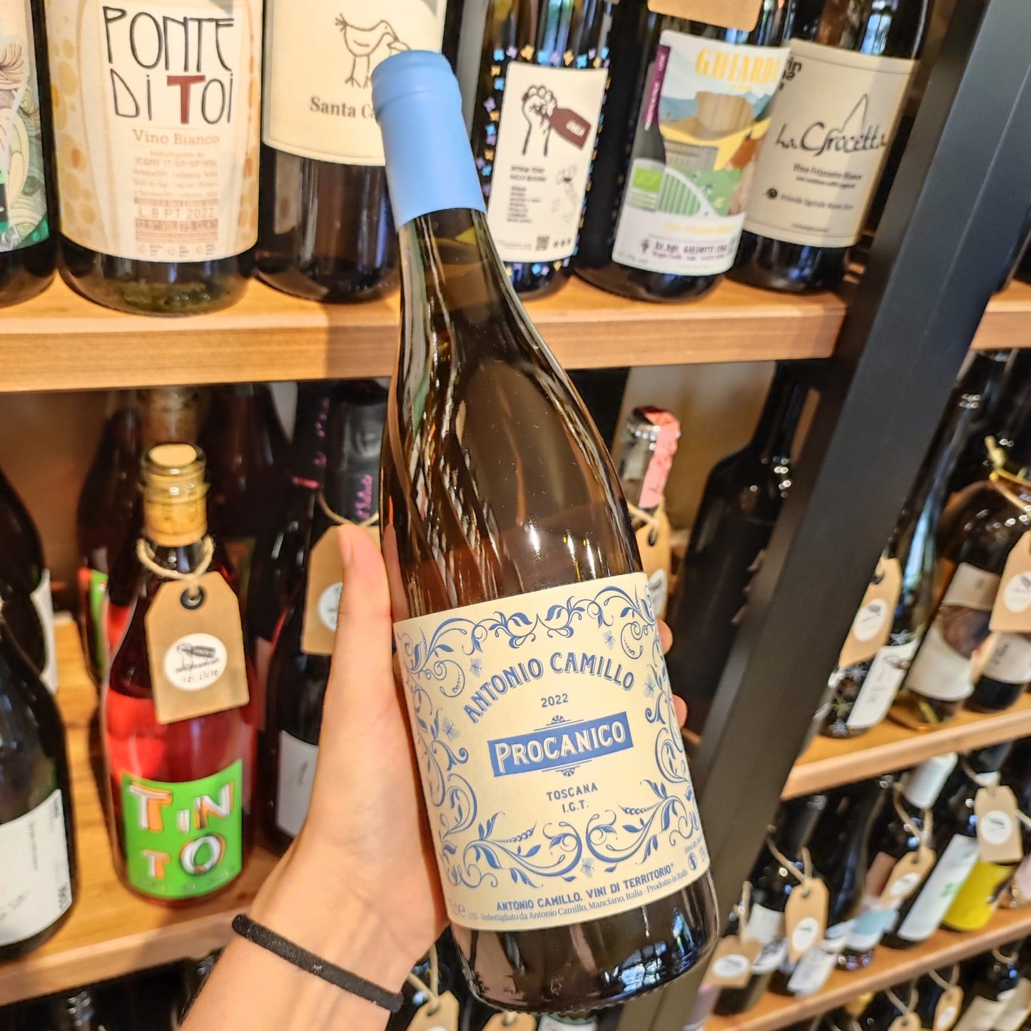 Procanico - Antonio Camilo