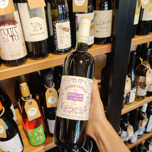 Morellino di Scansano - Antonio Camillo