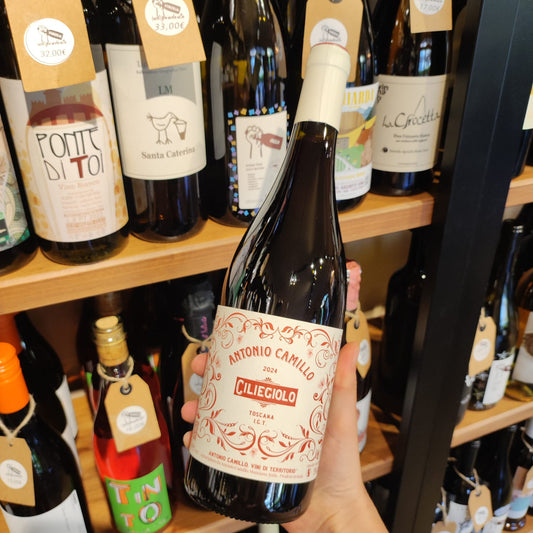 Ciliegiolo - Antonio Camillo