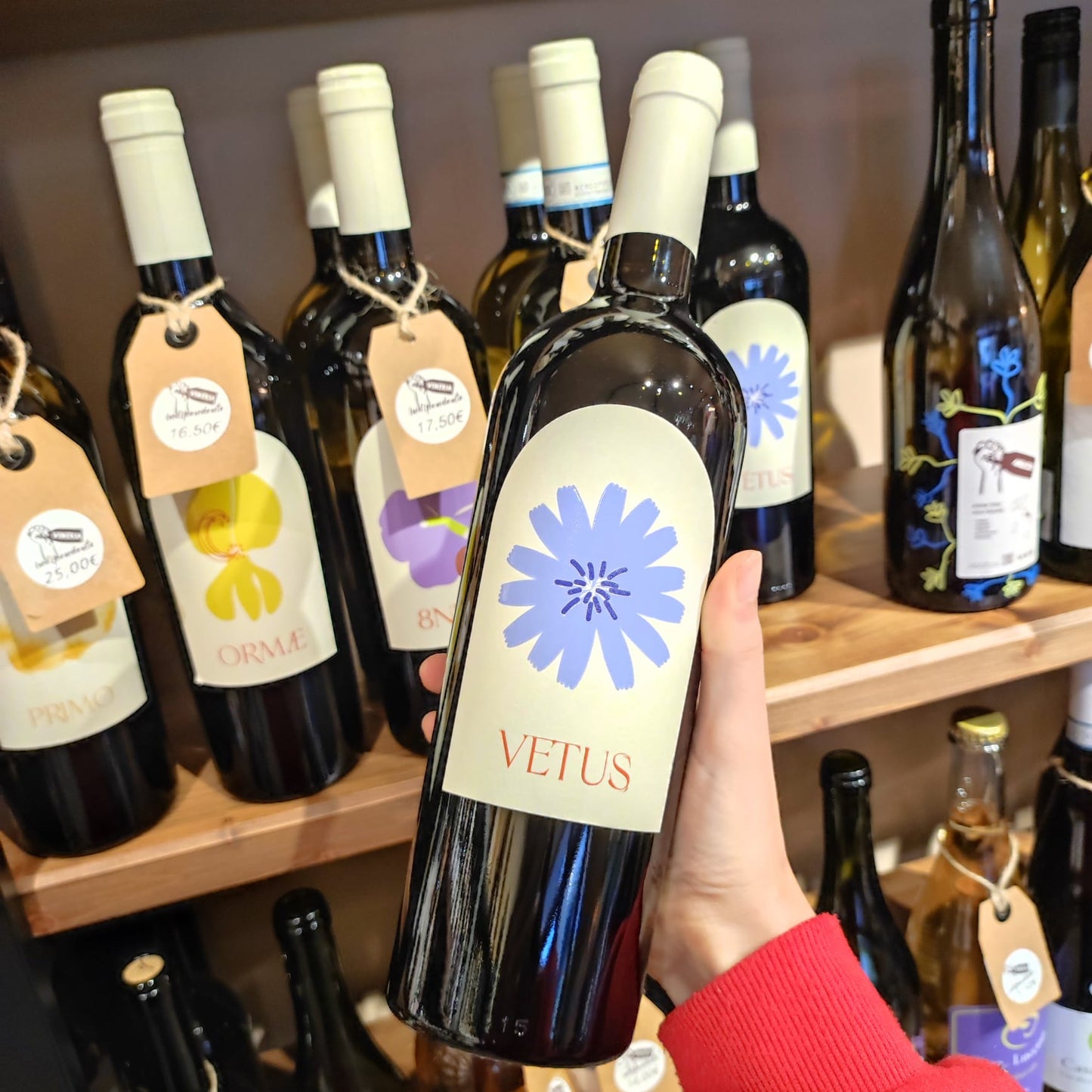 Vetus - Roma DOC rosso biologico - Merumalia