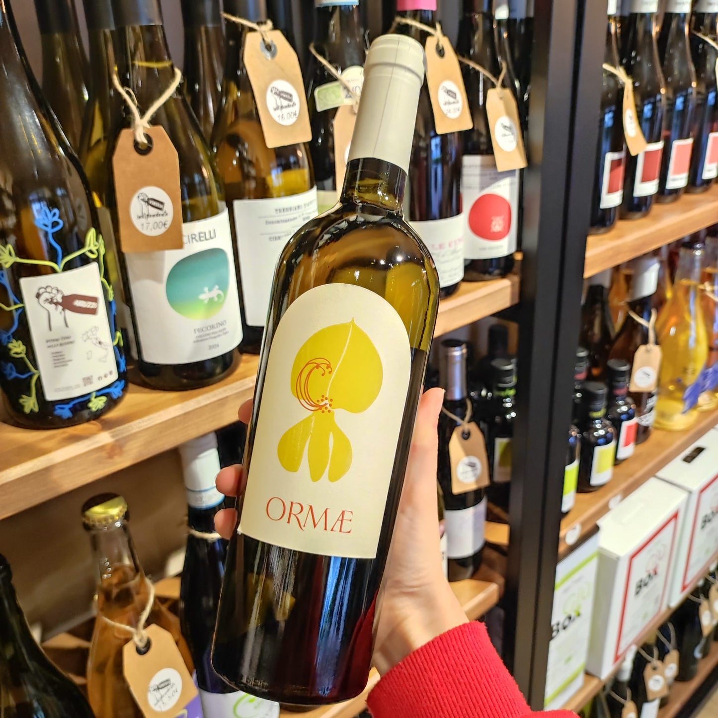 Ormae - Malvasia del Lazio - Merumalia