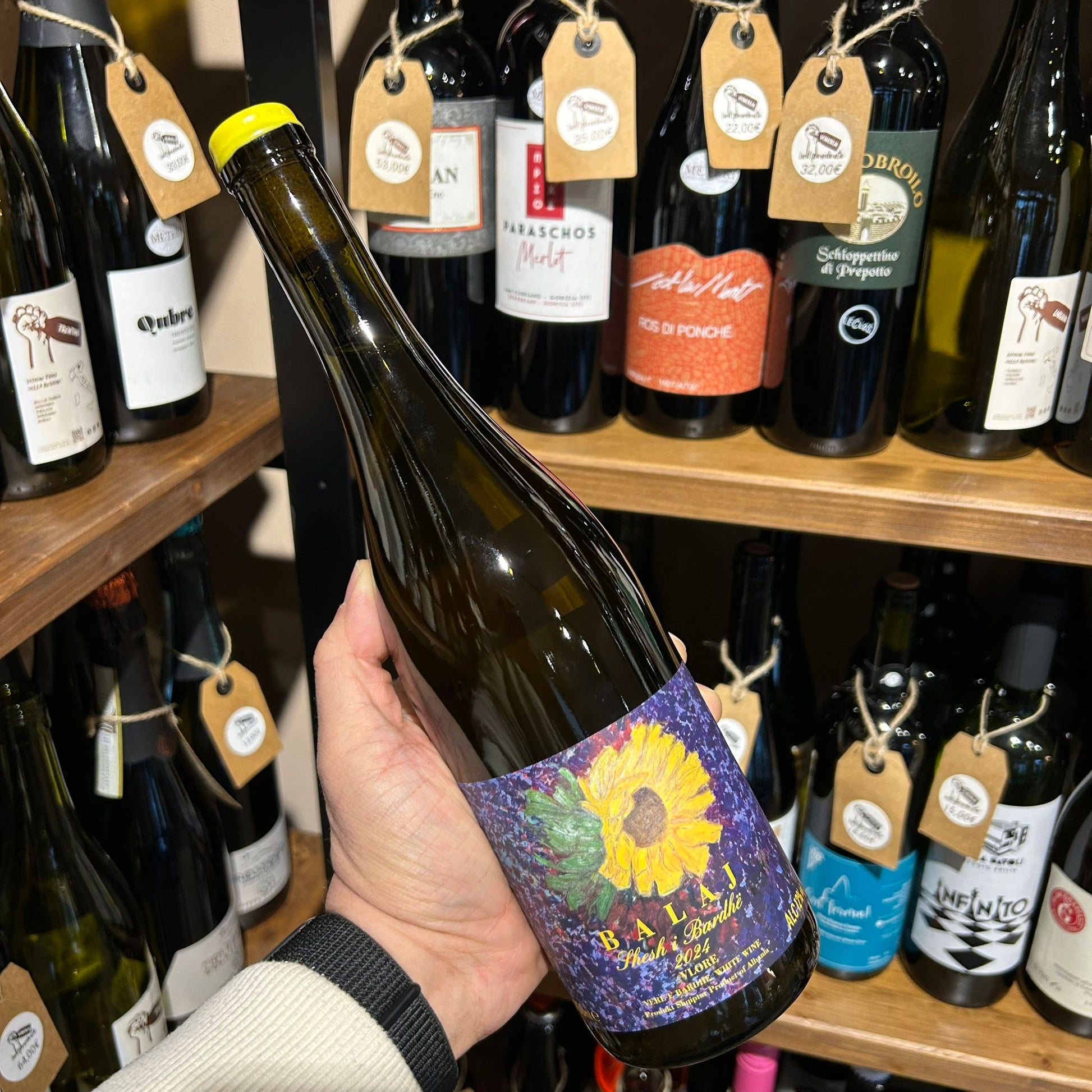 Balaj Shesh i Bardhe 2024 vino bianco