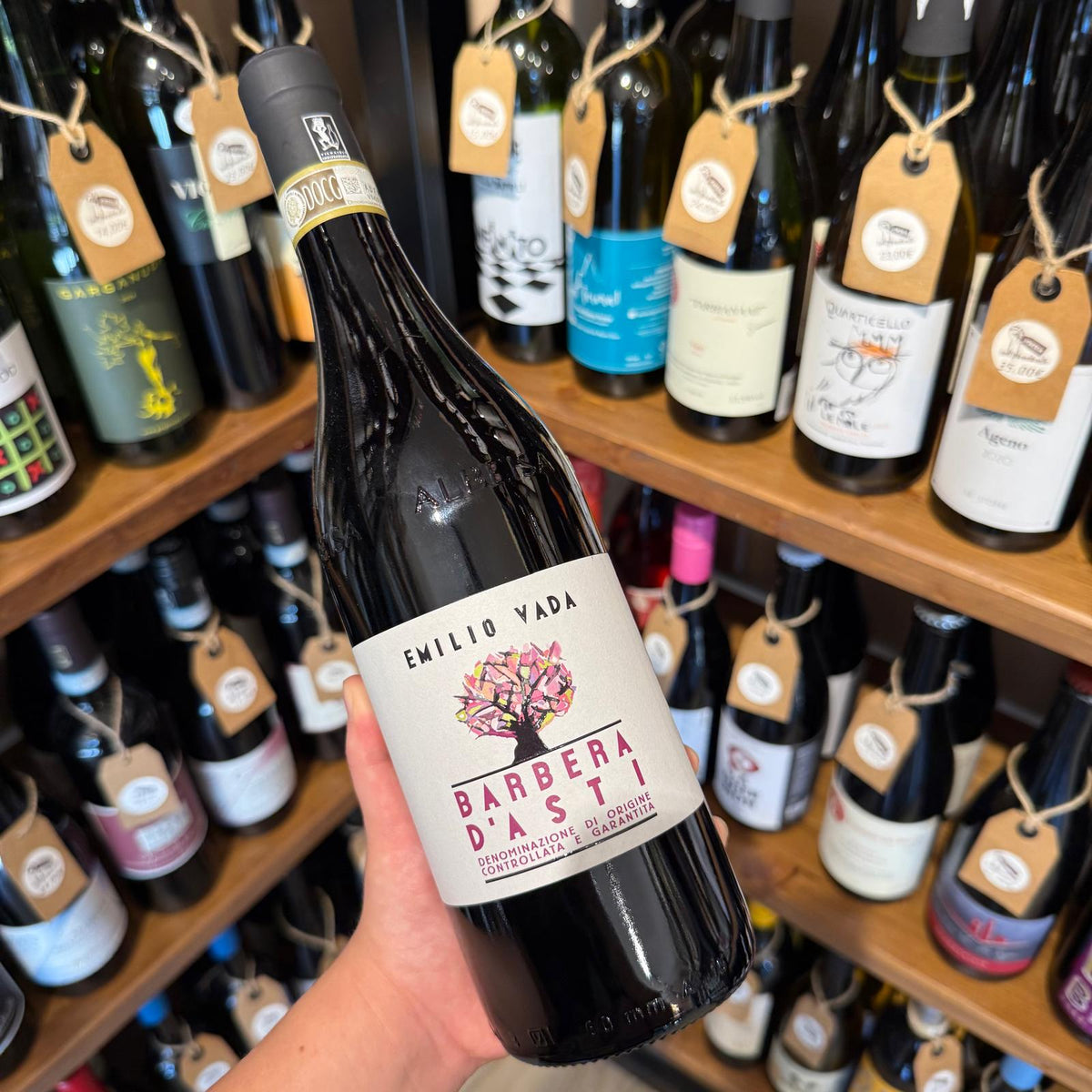 barbera-dasti-emilio-vada-bottiglia