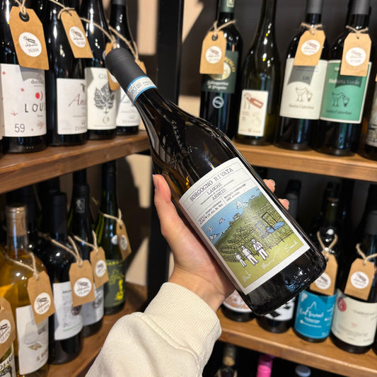 langhe-arneis-borgogno-rivata-2024-bottiglia