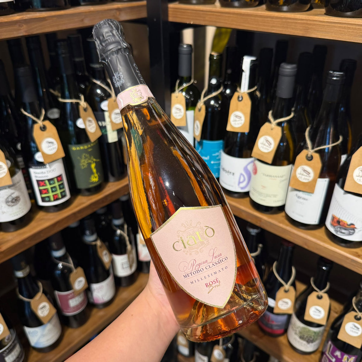 regina-lucia-brut-rose-nero-di-troia-cantine-ciato-bottiglia