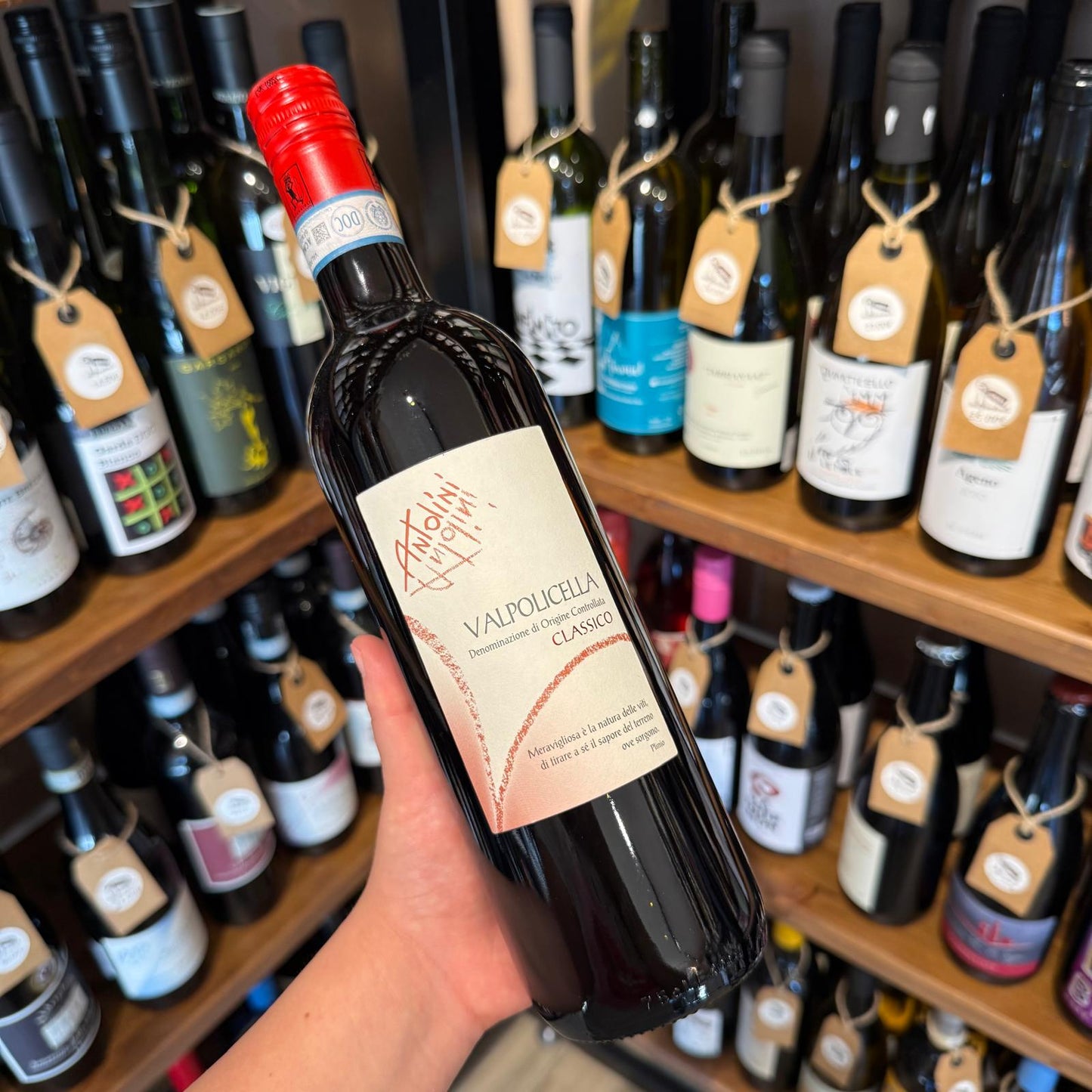 valpolicella-classico-antolini-bottiglia