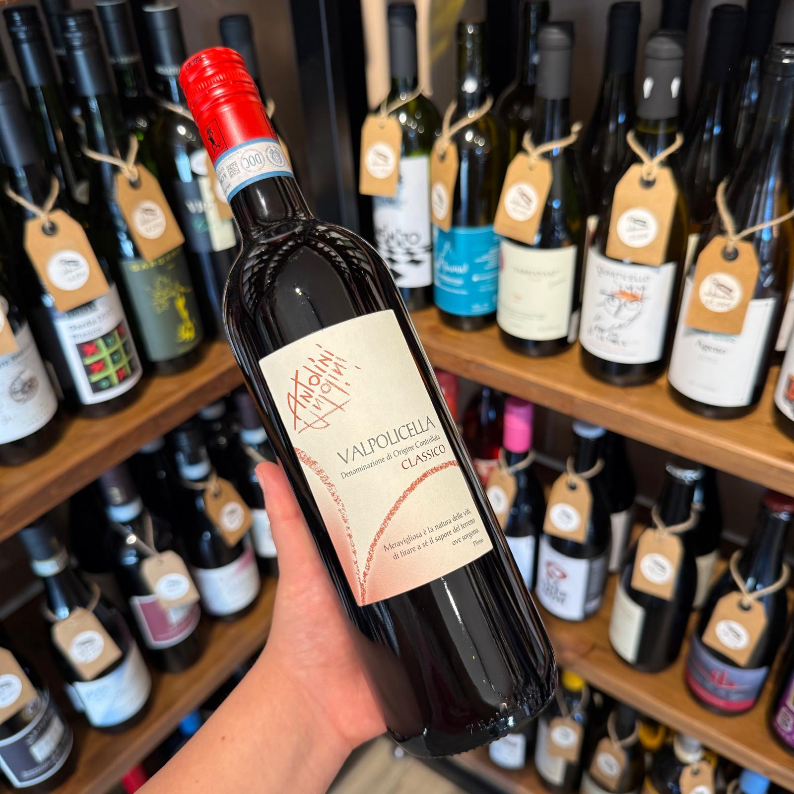 valpolicella-classico-antolini-bottiglia